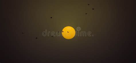 Birds Silhouette During Sunset Picture. Image: 93948863