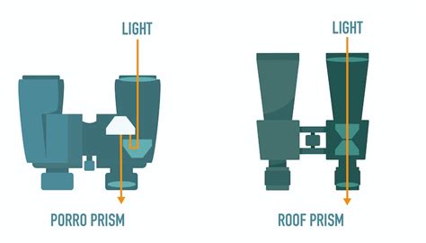 Porro Prism vs Roof Prism Binoculars: Which is Best? - Optics Mag