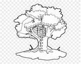 Magic Tree House Coloring Pages sketch template