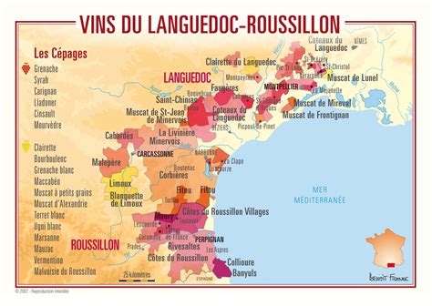 Discover The Languedoc Roussillon Wine Region | Wine region map, France wine, Wine region