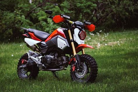 Honda Grom Off Road Build – Everything You Need to Know — Wanderlust Not Less | Adventure ...