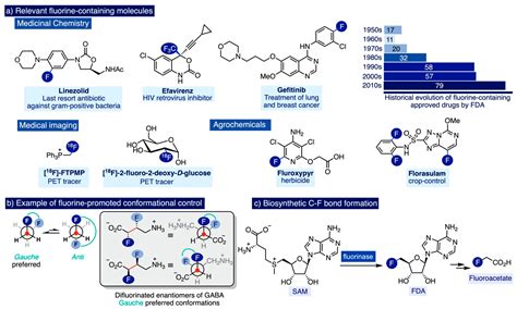 Chemical Structure Of Sodium Fluoride - Infoupdate.org