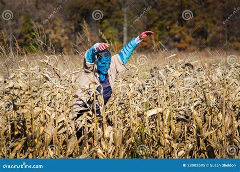 Scary Corn Maze And Alien Royalty Free Stock Photo - Image: 28003595