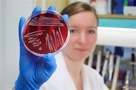 The perils of bacteria's secret weapons
