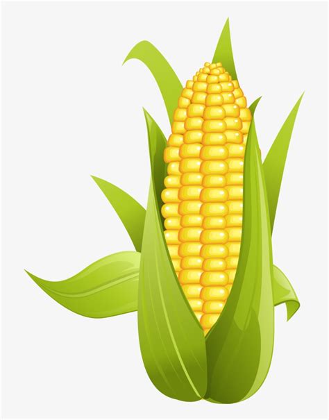 Corn On The Cob Sweet Clip Art - Corn Png - Free Transparent PNG ...