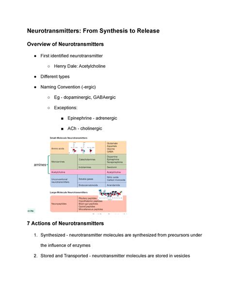 Lesson Four Neurotransmitters - Neurotransmitters: From Synthesis to ...