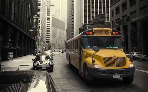 School Bus Wallpaper (51+ pictures)