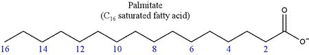 CHEM 245 - Fatty acids