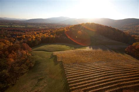 The Two Unsung Grapes Putting Virginia Wine on the Map | Wine Enthusiast