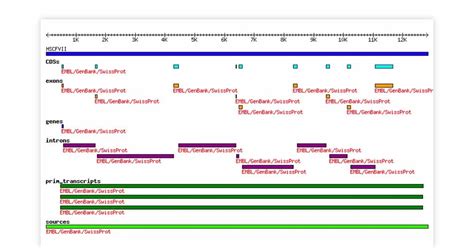 15 Open Source and Free Bioinformatics Tools List for Genomic Testing 2022