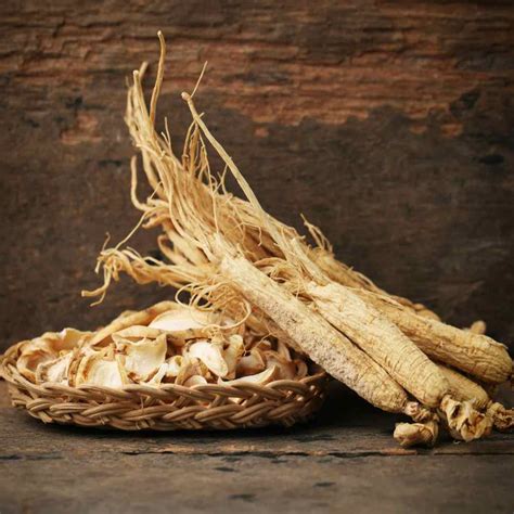 Panax Ginseng Herb Seeds - Medicinal Plants