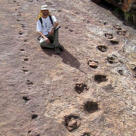 Secrets of dinosaur footprints revealed, thanks to goldilocks effect