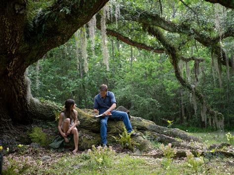 Mysterious and romantic Where the Crawdads Sing hits all the right notes - CultureMap Dallas