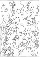 Under The Sea Coloring Pages sketch template