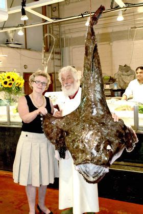 Giant Lophius Called Monkfish Goosefish Fishingfrog - Foto de stock de contenido editorial ...