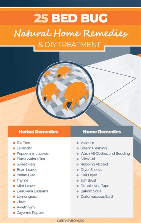 Home Remedies to Get Rid of Bed Bugs - 25 Effective DIY Treatments