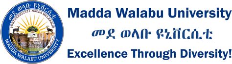 E-Student System – Madda Walabu University