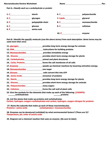 Macromolecules Review Worksheet Answer Key — db-excel.com