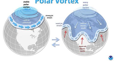 Polar vortex: What is the 2019 polar vortex weather event and is global ...