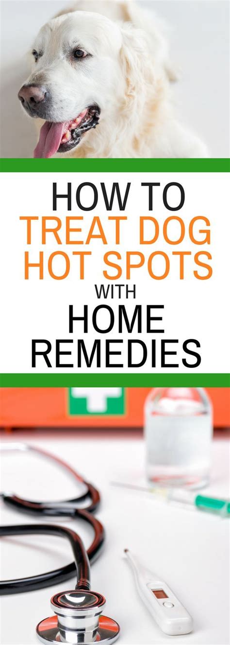 How to Treat Dog Hot Spots with Home Remedies. Why spend all your hard ...