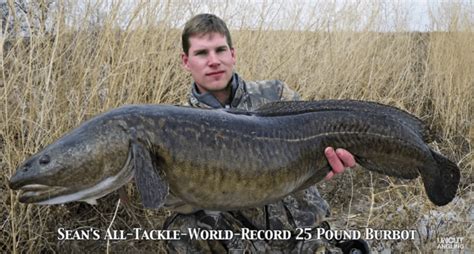 Burbot Fishing: Trying for a Line Class World Record [VIDEO] | River fishing, Fish, World records