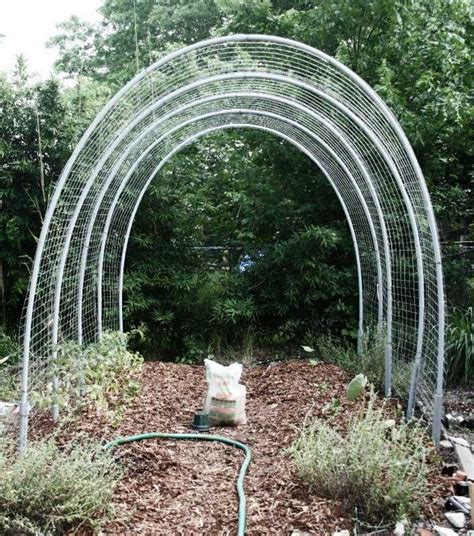 20 DIY Hoop House Plans To Enjoy Gardening - DIYnCrafty