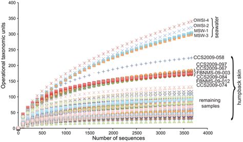 The Humpback Whale Population Graph