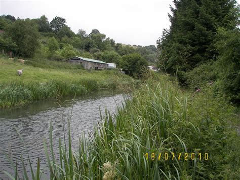 FISHING THE BRISTOL AREA: Stroud Canal 18-07-10