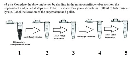 Solved (4 pts) Complete the drawing below by shading in the | Chegg.com