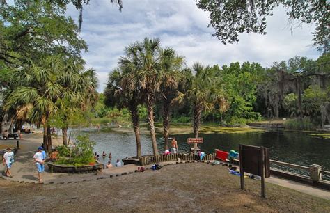 Salt Springs - Florida Traveler