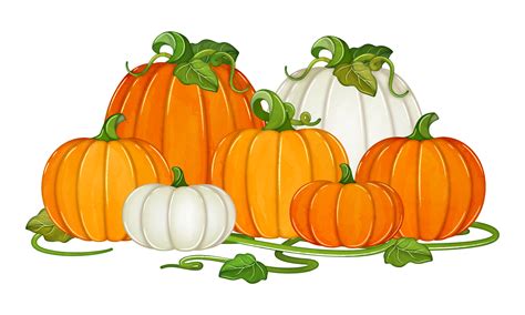 Watercolor Pumpkins with vines fall clipart 11190861 PNG