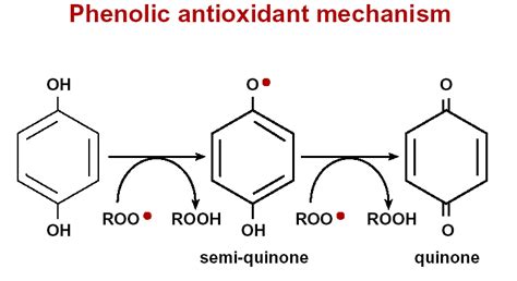 2. Phenolic antioxidant mechanism | Download Scientific Diagram