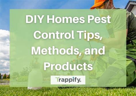 Home Pest Control: Tips, Methods, and Products