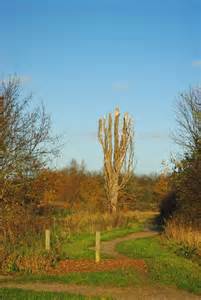 Roding Valley Paths © Glyn Baker :: Geograph Britain and Ireland