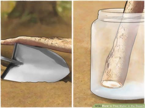 How to Find Water in the Desert (with Pictures) - wikiHow