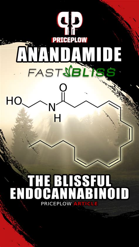 Anandamide: The Body’s Blissful Endocannabinoid Molecule