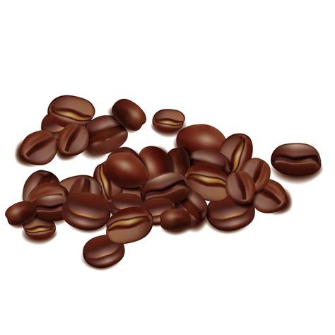 Coffee Bean Vector Free Download at GetDrawings | Free download