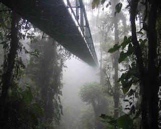 Oh the places we'll go: Santa Elena Cloud Forest Reserve, Costa Rica