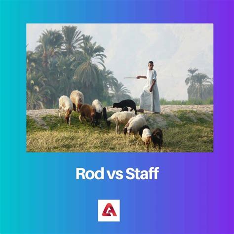 Rod vs Staff: Difference and Comparison