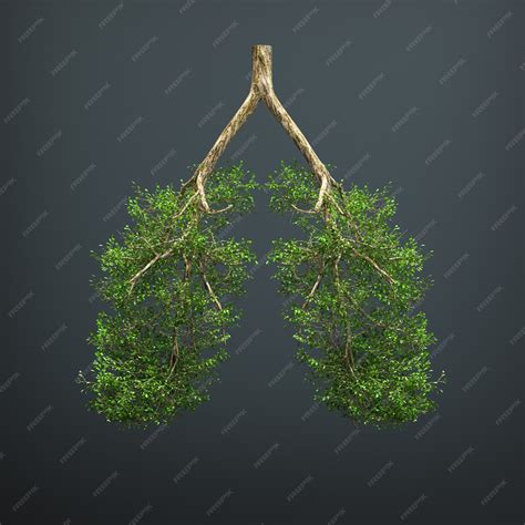 Premium Photo | The tree grows in the form of a human lung.