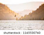 Landscape and lake in Lake Billy Chinook image - Free stock photo - Public Domain photo - CC0 Images