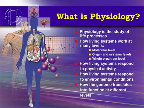 Physiology The Science of Life - ppt download