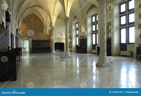 Castle of Amboise stock photo. Image of fountain, historical - 10644106