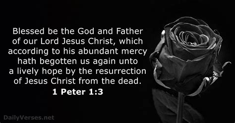 1 Peter 1:3 - Bible verse (KJV) - DailyVerses.net