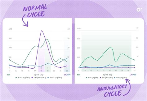 Anovulatory Cycles - Can I Still Get Pregnant? | Expert Guide