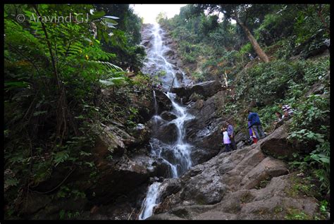 Treks and travels: Araku valley