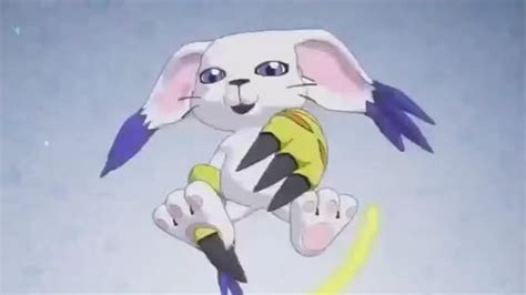 Tailmon/Gatomon (Digimon adventure tri) | QUALITY | Know Your Meme