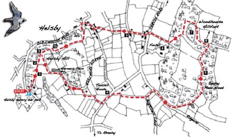 A Circular Walk around Helsby Hill and Woodhouse Hillfort - Walking ...