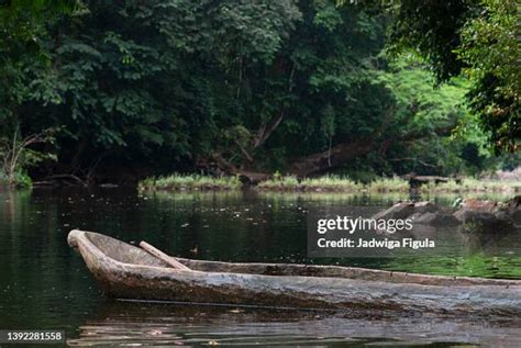 1,135 Liberia Rainforest Stock Photos, High-Res Pictures, and Images ...