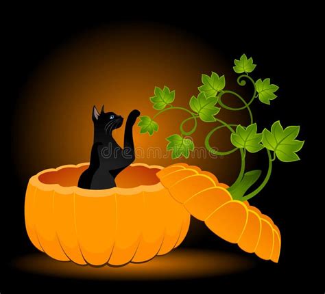 Pumpkin and black cat stock vector. Illustration of orange - 11603437